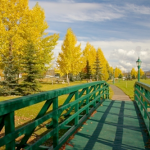 Greener Options to Travel