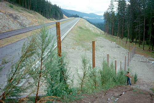 Wildlife fencing