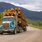 Permits Seasonal Loads