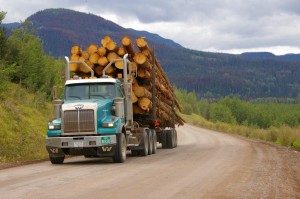 Logging trucking driving along dirt road