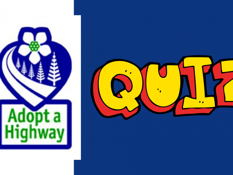 Adopt a Highway Quiz