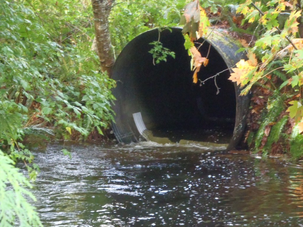 Backflooded culvert