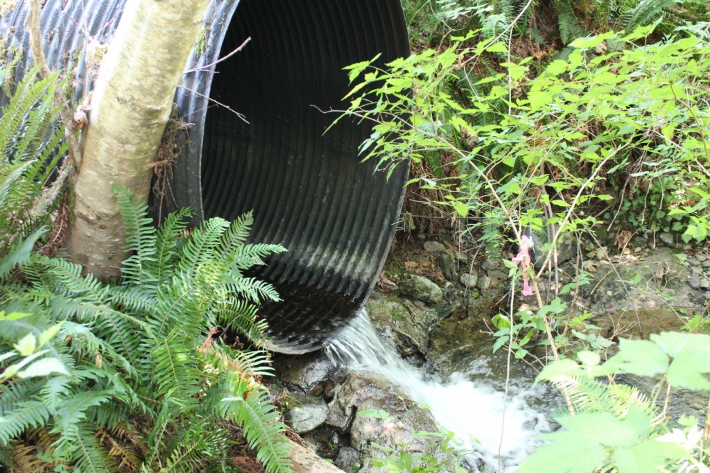 Culvert Drop