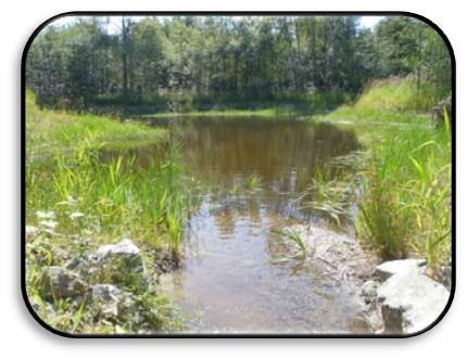 The Bon Accord fish rearing pond. Creek SFPR