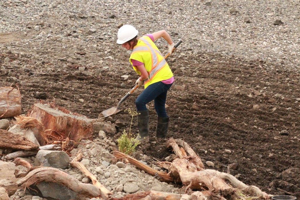 Tseycum Pay Bay Restoration (22)