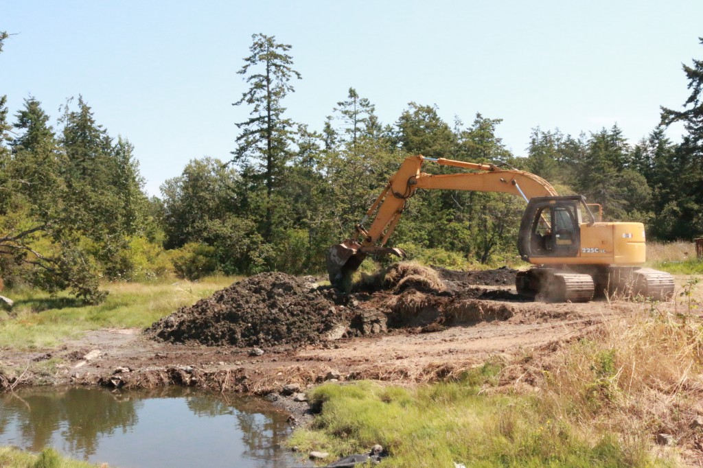 Tseycum Pay Bay Restoration (3)