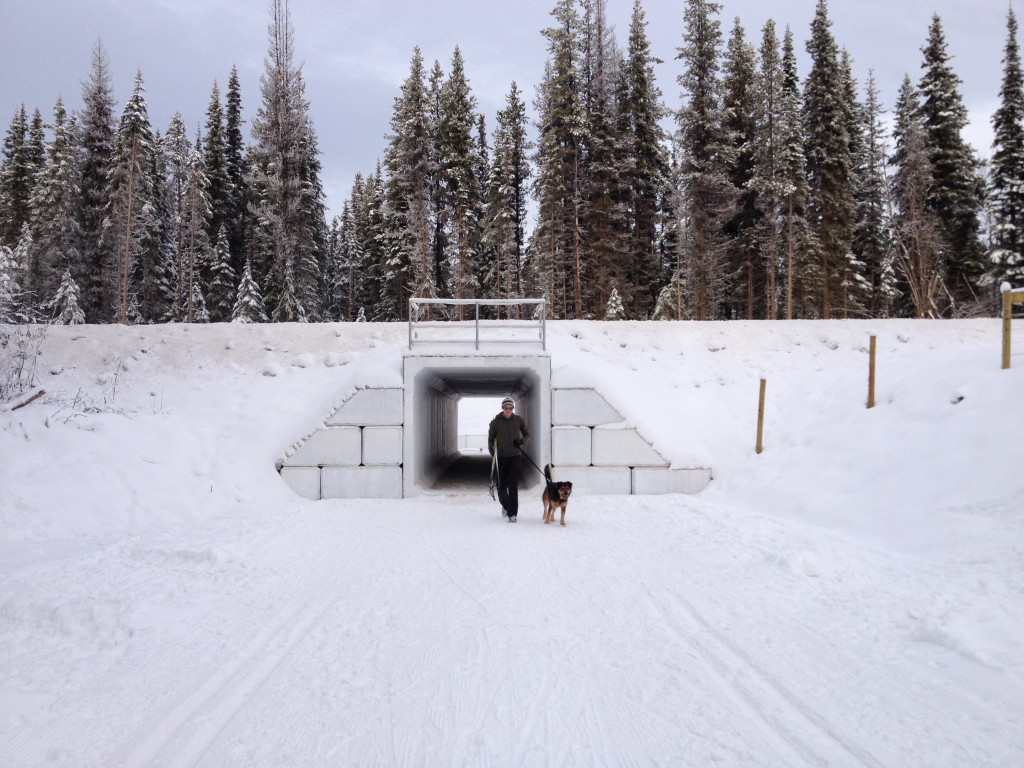 Ski Underpass