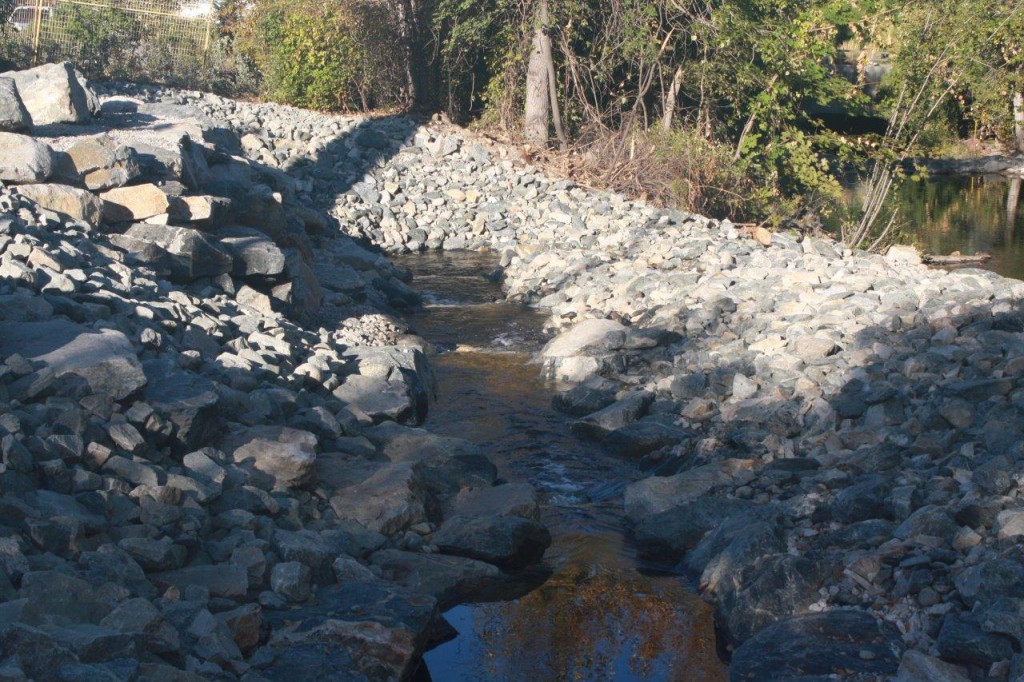 A section of bypass - route to more habitat.