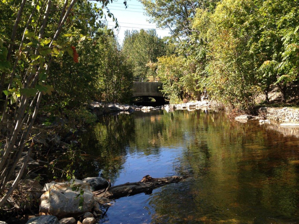 A large pool downstream from the dam, which links to the bypass channel.