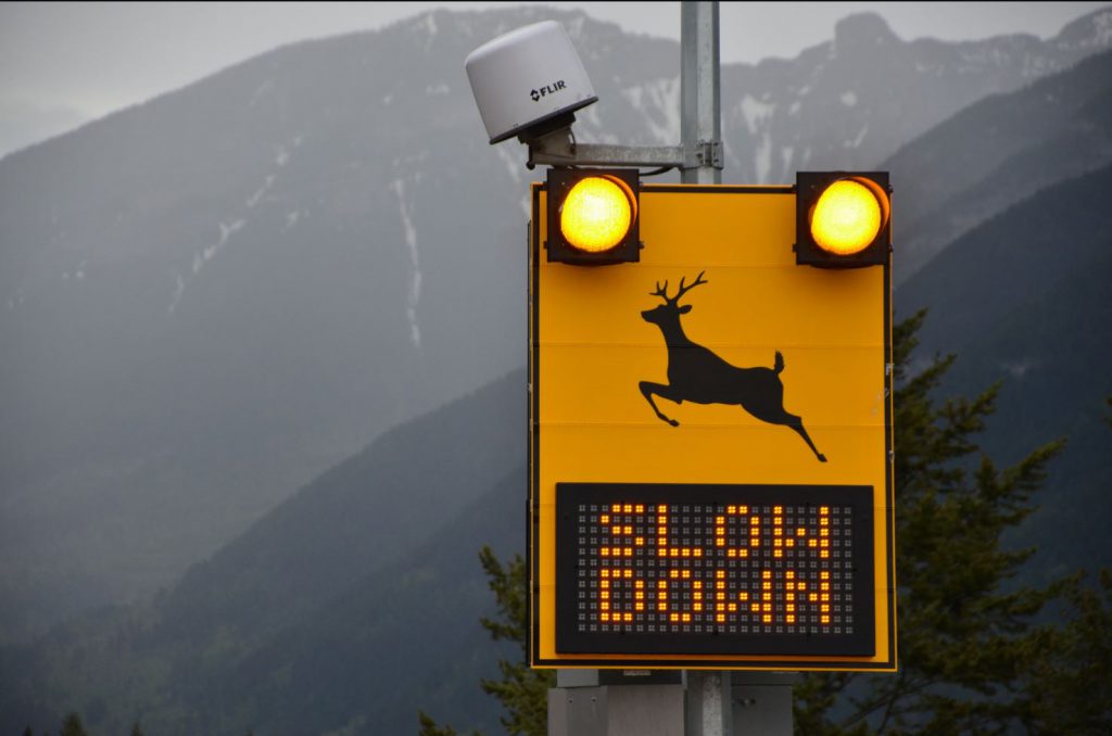New Way to Protect Wildlife on Highway 3 TranBC