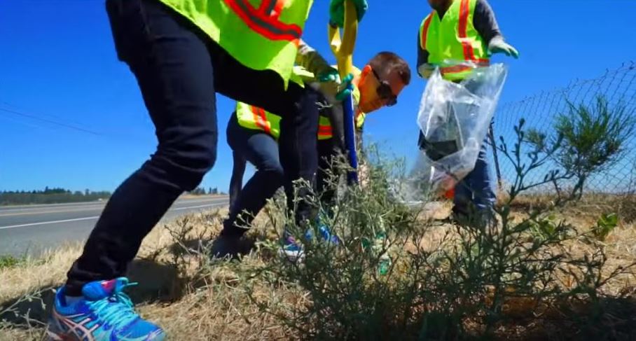 Tackling Invasive Species as part of Adopt a Highway volunteer program