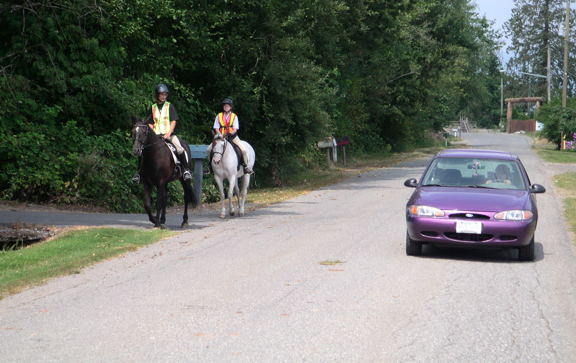 horseback riding