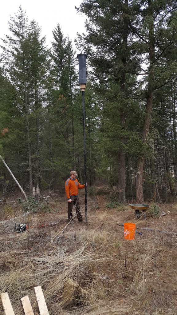 Installing a bat box at Harper Creek, south of Clearwater BC.