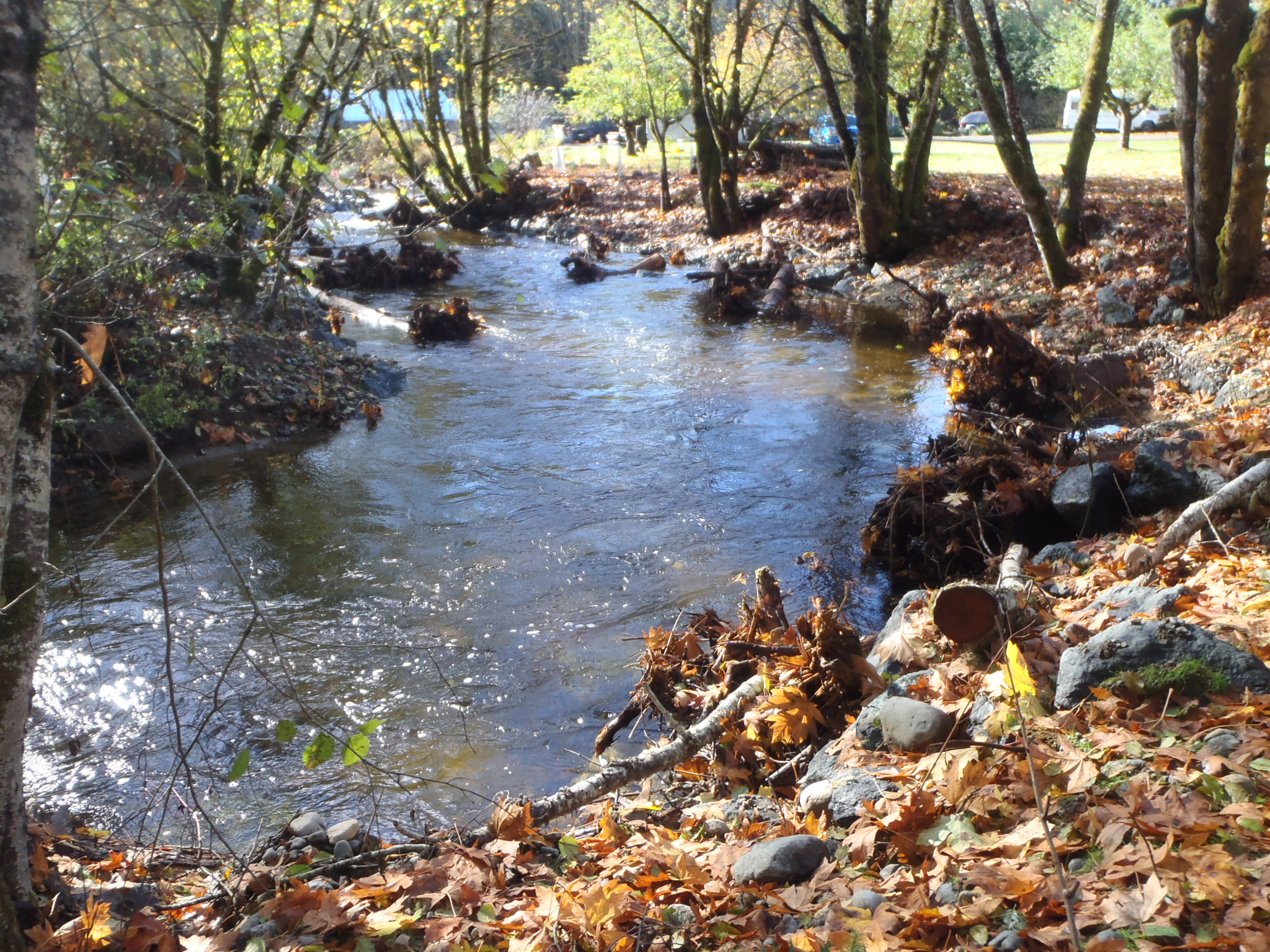 A picture of the French Creek road toe stabilization and habitat complexing at completion on Vancouver Island.