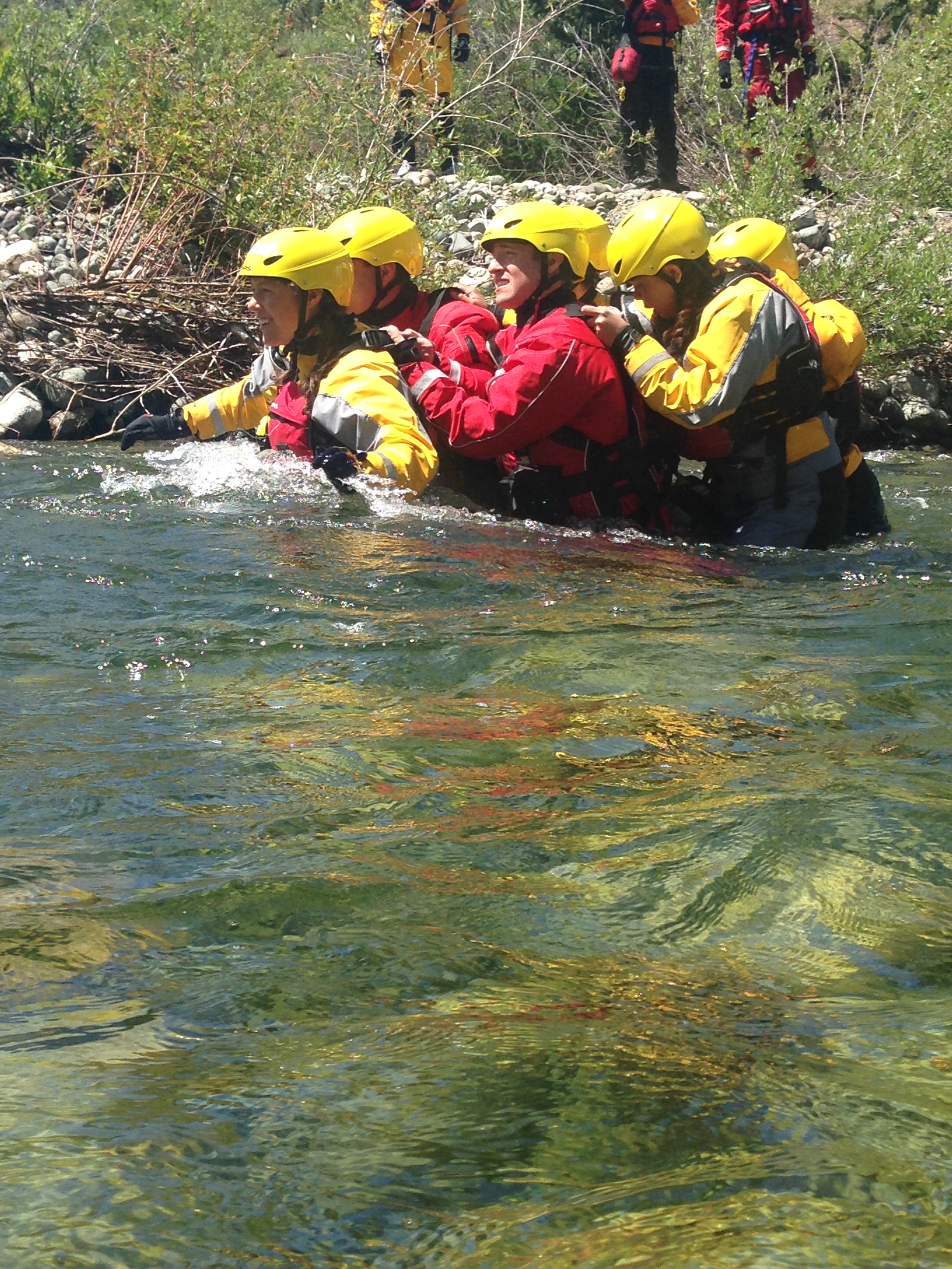 Working as a pack during swift water rescue training. 