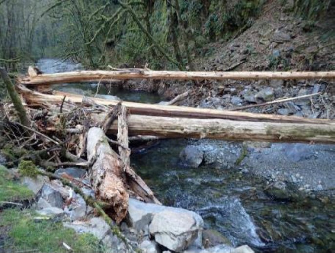 A “before restoration” shot of the debris jam and rockfall along the Goldstream River.