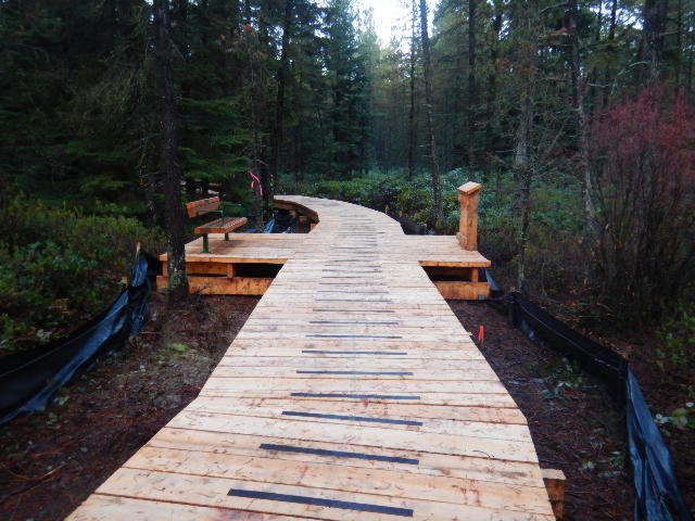 Burns bog boardwalk