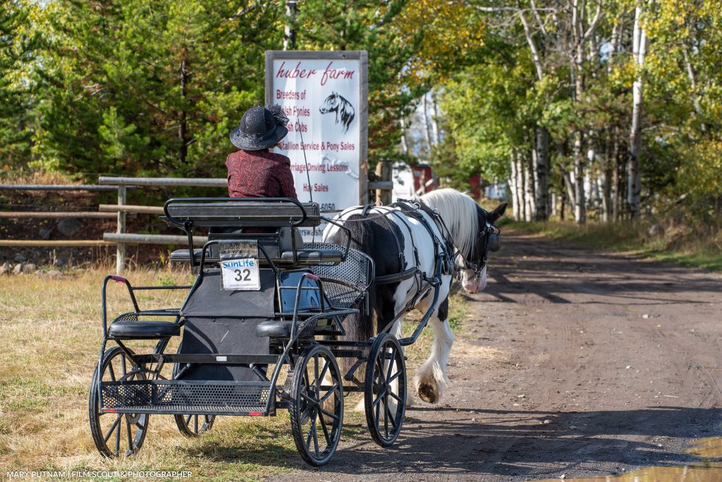 Heritage horse and carriage field driving trial 