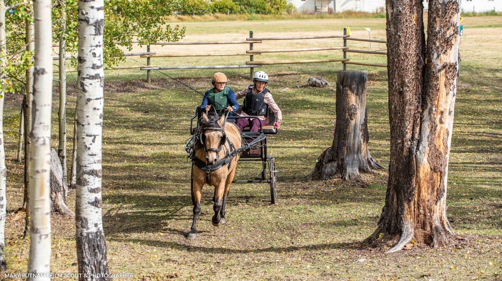 Two people riding a horse and buggy in competition. 