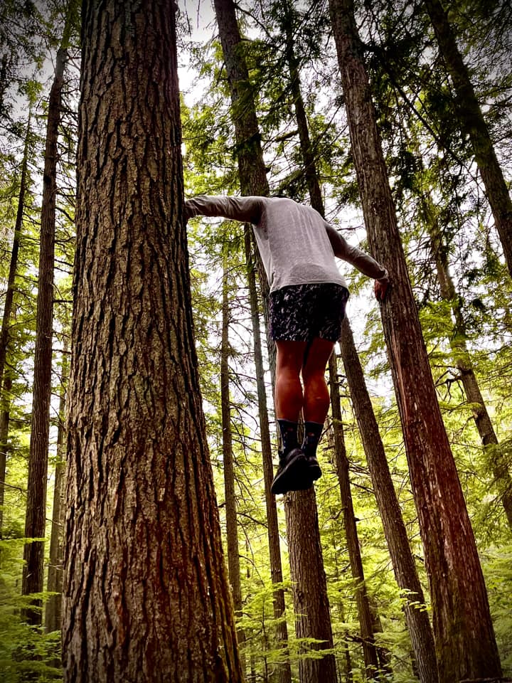 person holding themselves off the ground between two trees
